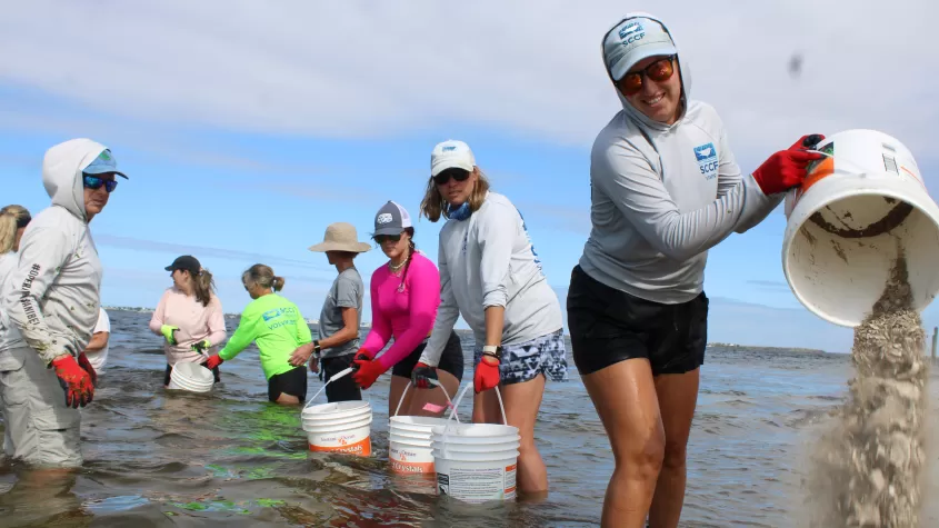 volunteers emptying buckets of shells