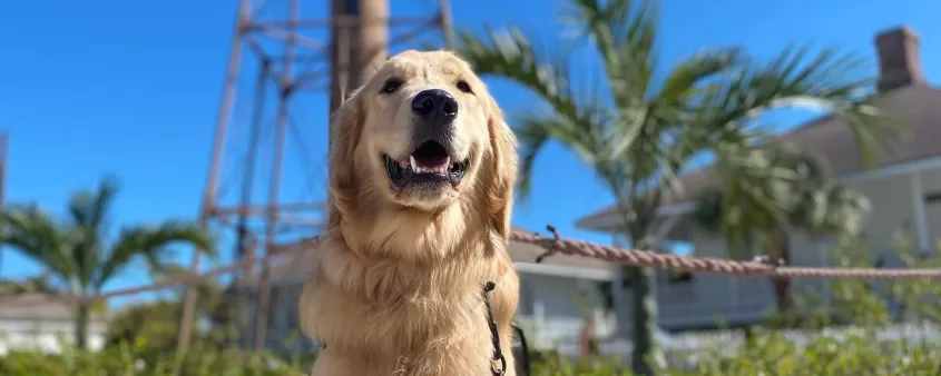 Lighthouse Beach Park